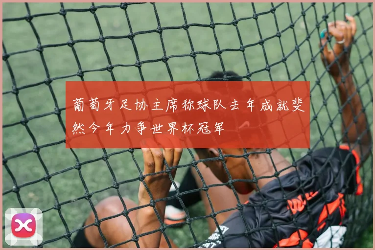 葡萄牙足协主席称球队去年成就斐然今年力争世界杯冠军
