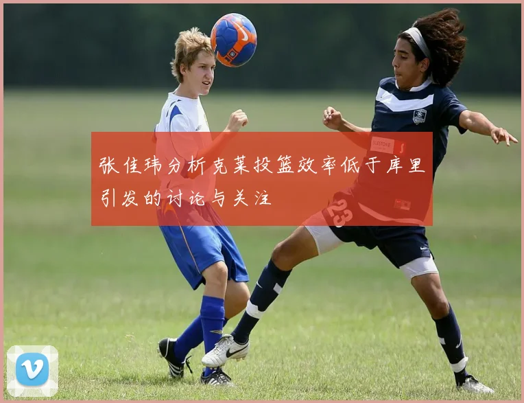张佳玮分析克莱投篮效率低于库里引发的讨论与关注